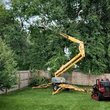 Best Tree Disease Treatment  in Port Monmouth, NJ